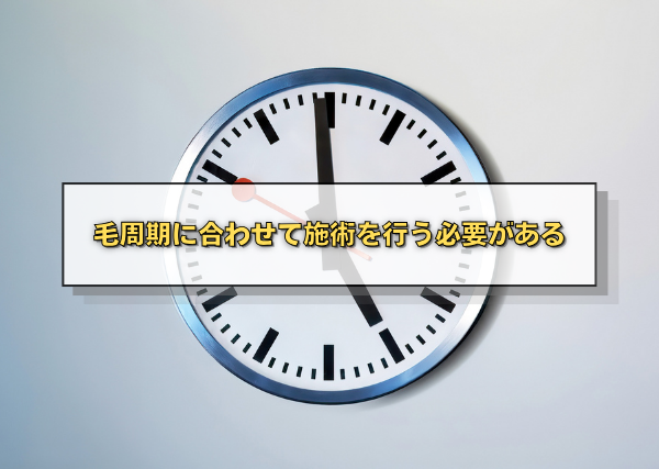 毛周期に合わせて施術を行う必要がある