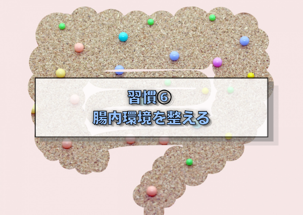 習慣⑥　腸内環境を整える